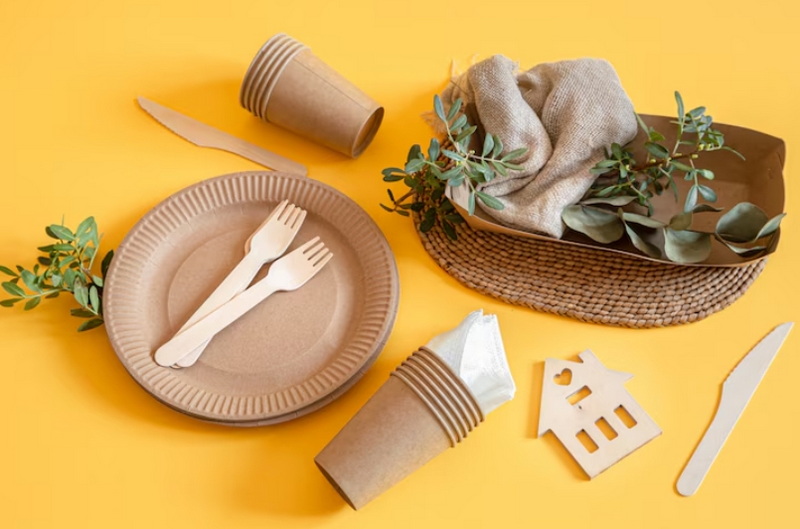 Disposable Plates for Sale Near Me