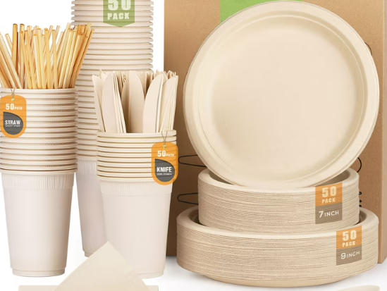 Biodegradable Tableware Suppliers China