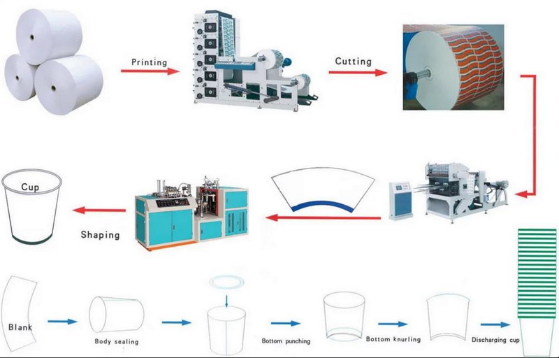 How Disposable Drink Cup Are Made?
