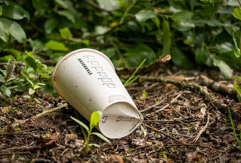 How Many Disposable Coffee Cups Are Thrown Away Each Year