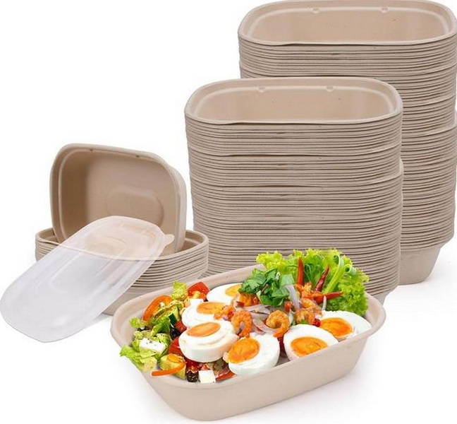 large eco friendly disposable serving bowl