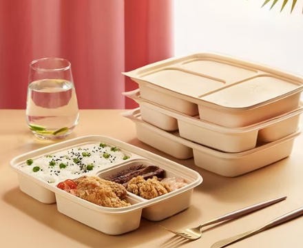 Disposable Lunch Box Factory Kazakhstan Disposable Lunch Box Factory Kazakhstan