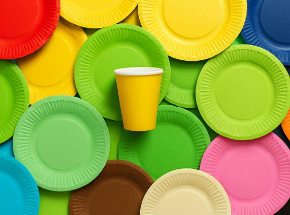 Top Disposable Plate Manufacturers And Suppliers in Turkey
