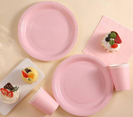 Top Disposable Plate Manufacturers And Suppliers in Mongolia