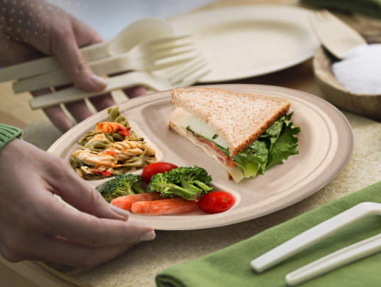 Paper Plate Bowl Manufacturers Spain