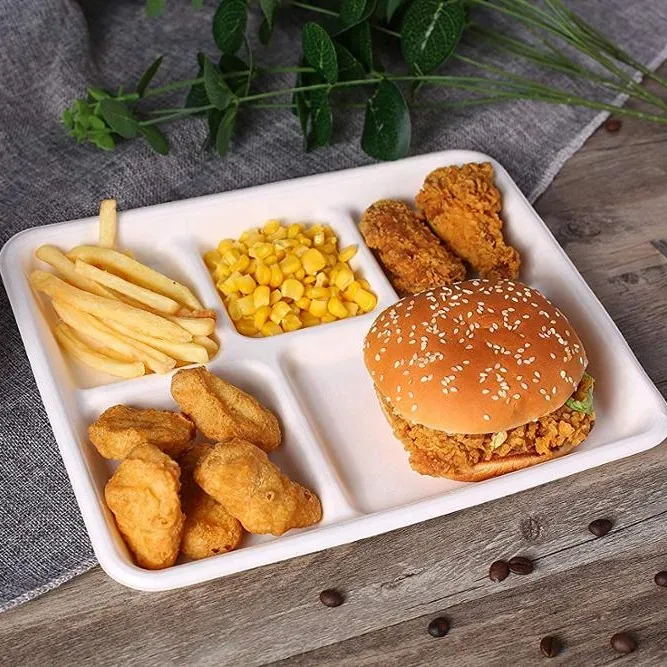 Big Size 5 Compartment Rectangular Plate