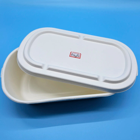 1000ML Food Container Box