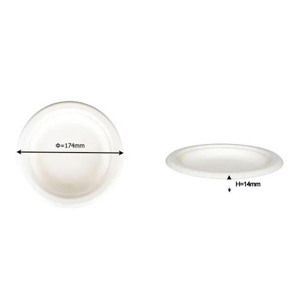 7 Inch Round Plate