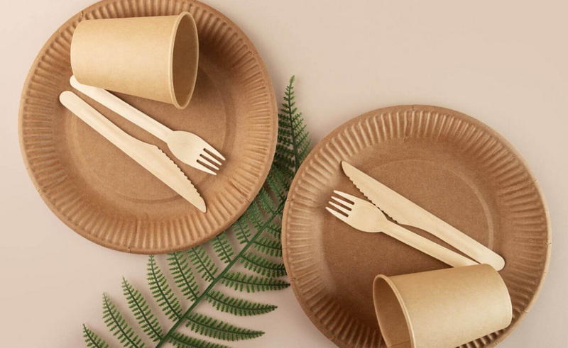 How To Choose The Right Disposable Plate Manufacturer Close To You?