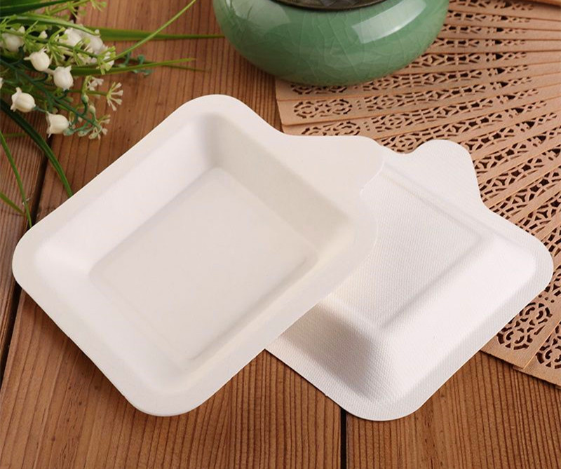 Disposable Plates