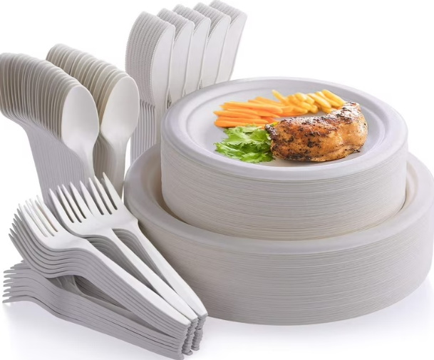 Disposable Tableware_3