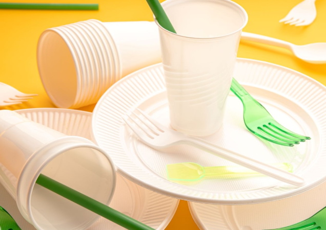 Biodegradable Disposable Plates_2