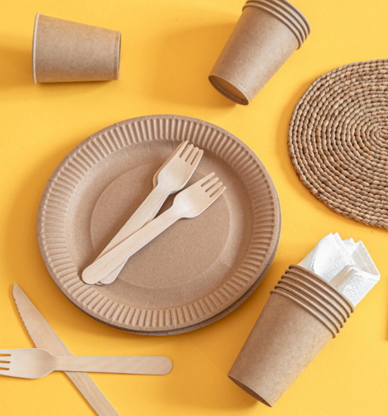 Disposable Cup And Plate_3