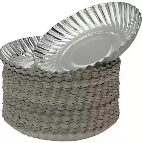 Silver Disposable Plates_2