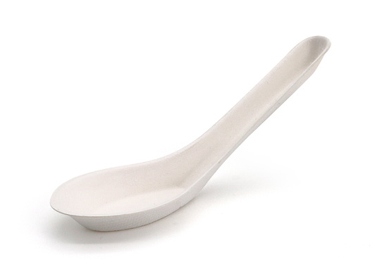 Disposable Asian Soup Spoons_3