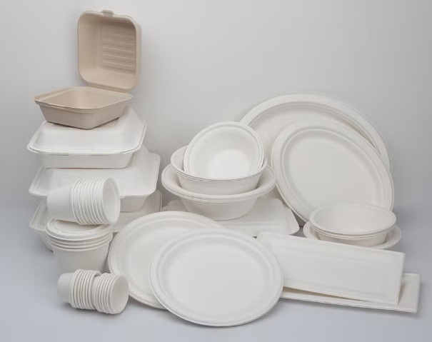 White Disposable Plate_3