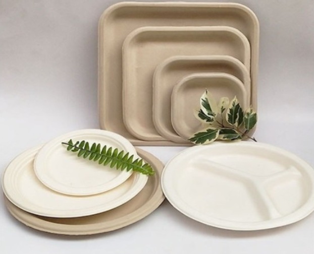 Disposable Tableware_17