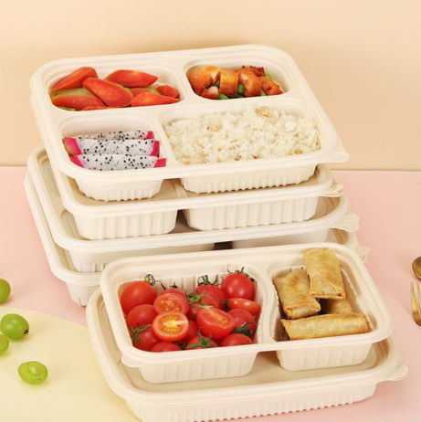 Disposable Lunch Box_19
