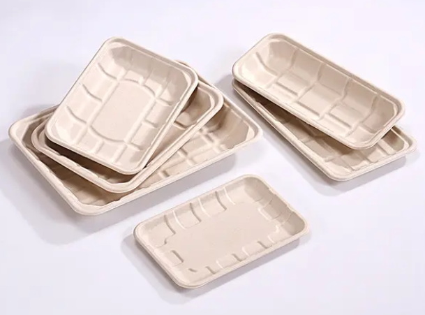 Disposable Plates_10