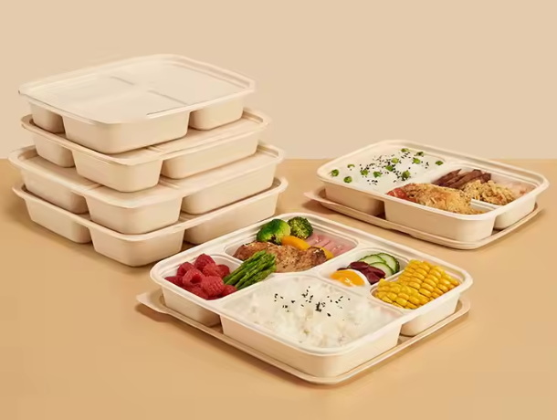 Disposable Box Lunch Containers_1