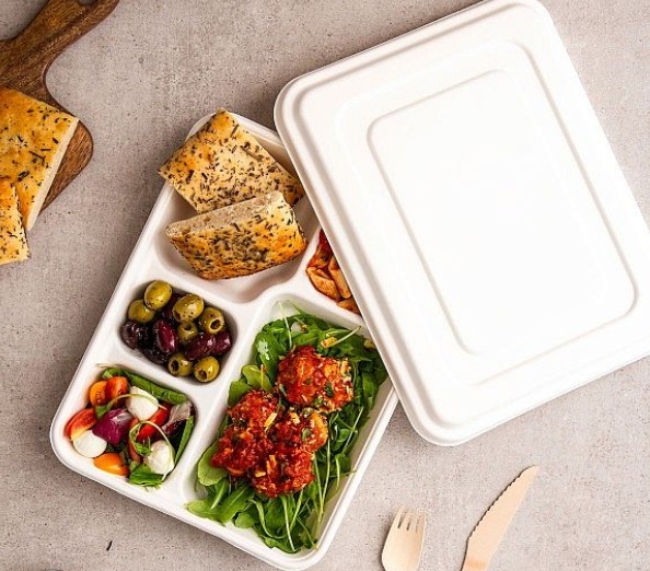 5 Compartment Disposable Lunch Box_1