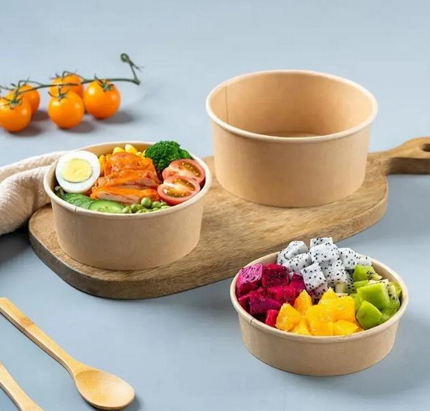 Are Eco-Friendly Disposable Serving Bowls with Lids Available?