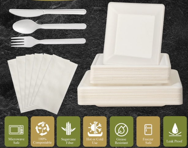 Affordable Disposable Party Supplies