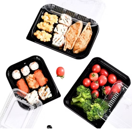 Eco-Friendly Tray Manufacturers France