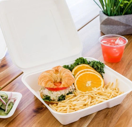 Sustainable Food Packaging Options