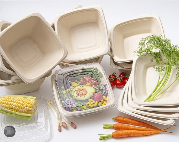 Trends in Eco-Friendly Bowl And Lid Packaging for 2025