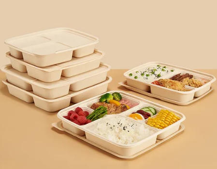 Biodegradable Bento Box Factory China Nhà máy hộp Bento phân hủy sinh học Trung Quốc