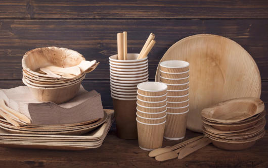 Biodegradable Food Containers