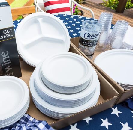 Make Disposable Plastic Plates 1