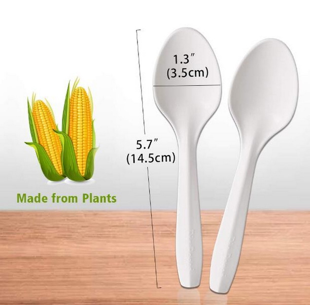 What Is Disposable Spoon Made Of 1