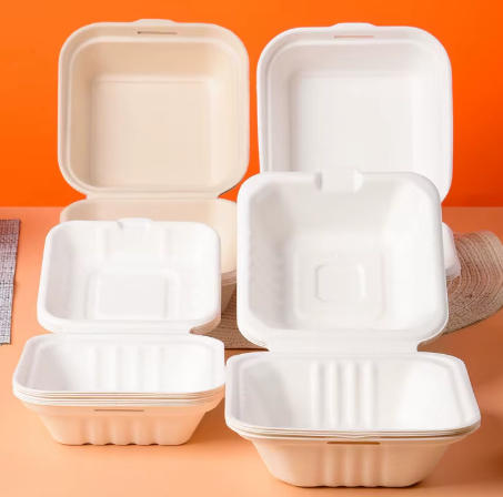 Malaysia Disposable Container Manufacturers Malaysia Disposable Container Manufacturers