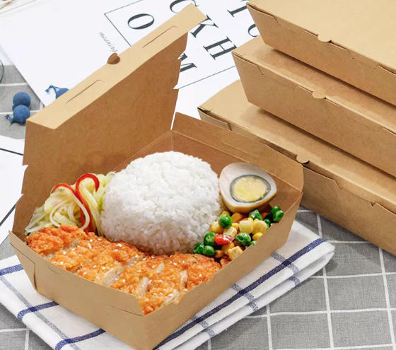 Paper Lunch Box Factory In Mongolia Paper Lunch Box Factory In Mongolia