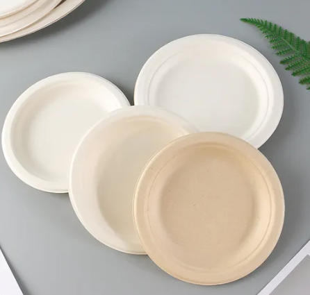 Disposable Food Packaging And Tableware Suppliers In Mongolia