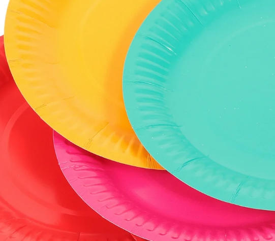Custom Paper Dish Manufacturers Kazakhstan
