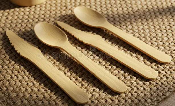 Paper Fork Knife Spoon Manufacturers Germany