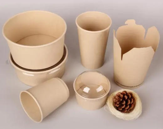 Top Disposable Paper Bowl Manufacturers And Suppliers in Poland