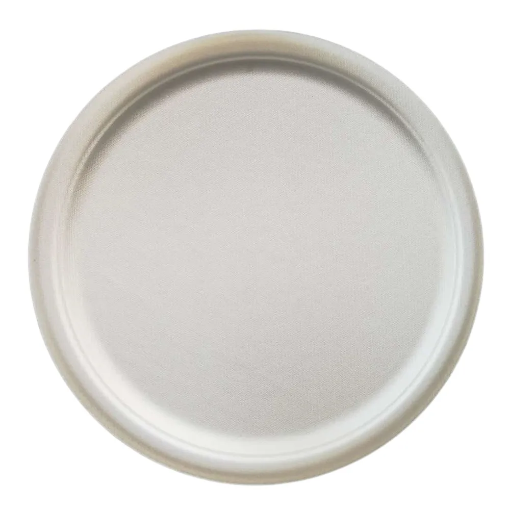 10 Inch Round Plate