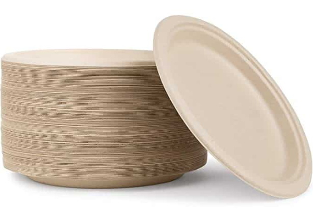 Disposable Plate And Bowl_3