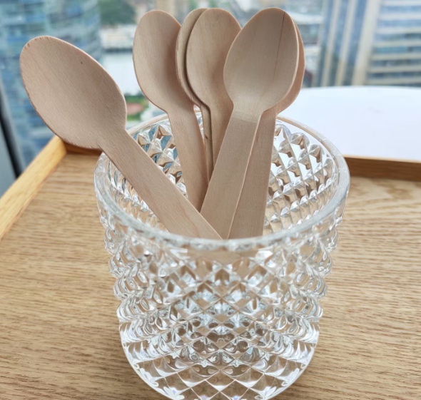Disposable Tableware_2