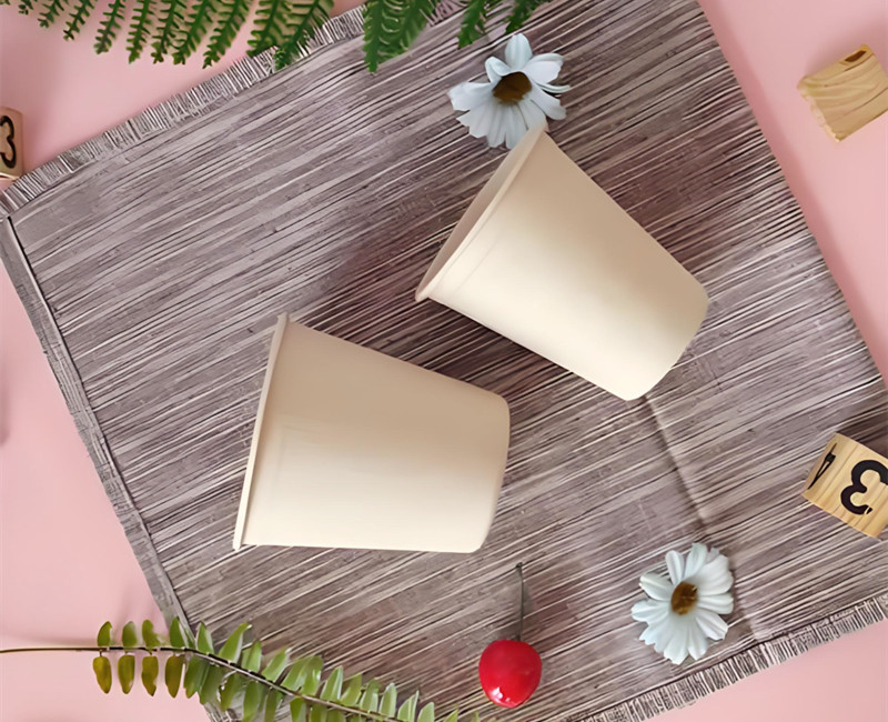 design your paper cups