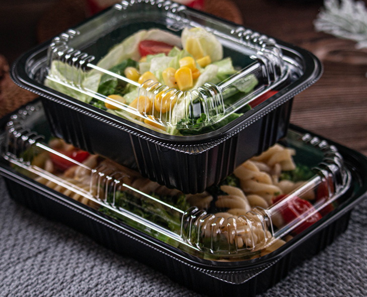 How To Choose High-Quality Plastic Lunch Box Disposable?