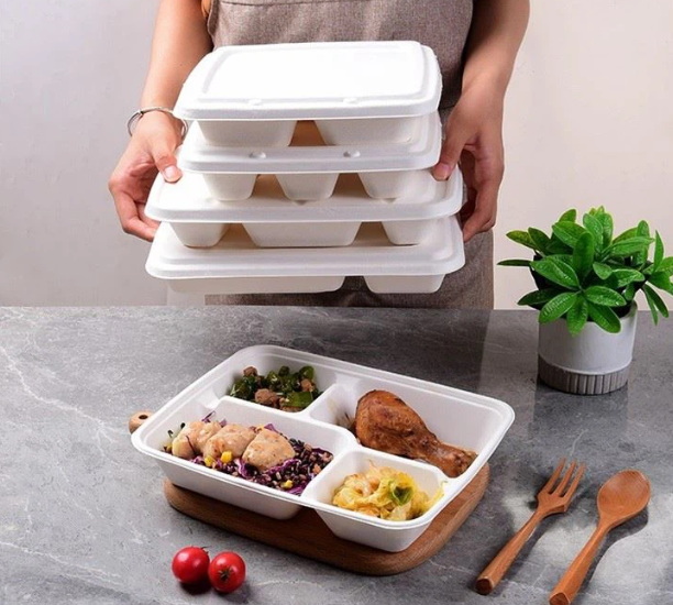 disposable lunch box price