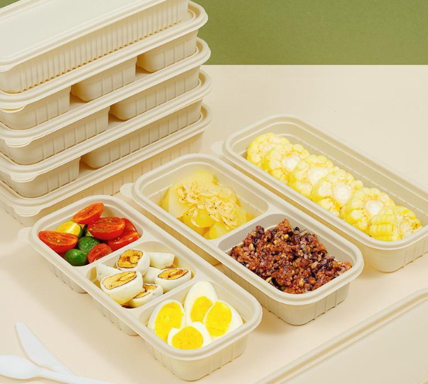 Disposable Lunch Box Manufacturers India