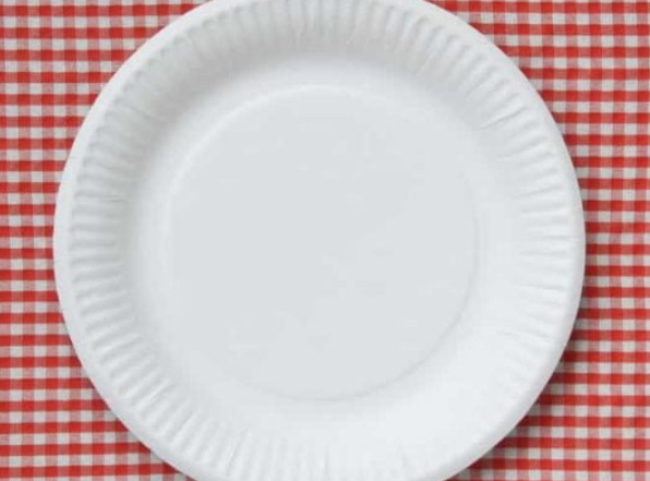 White Disposable Plates_1