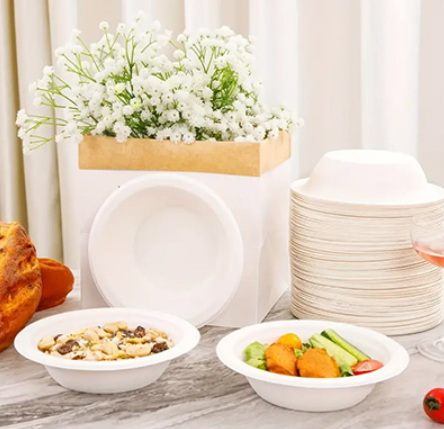 Disposable Shallow Bowl Plates_2