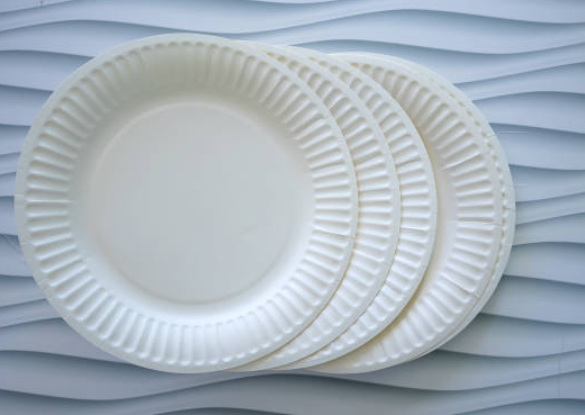 White Disposable Plate_2